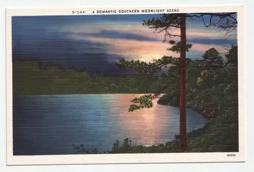 A romantic southern moonlight scene.