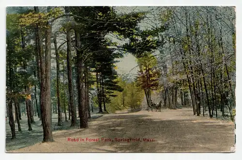 Road in Forest Park, Springfield, Mass. Year 1910