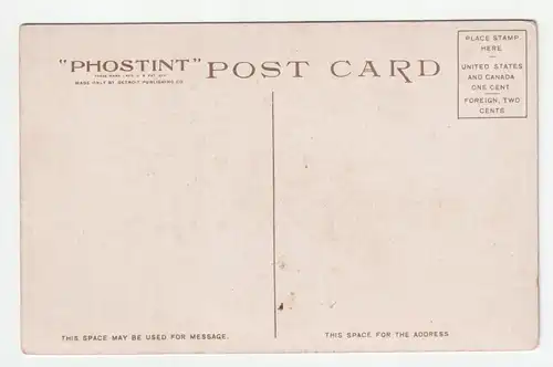 Lower Falls of the Yellowstone.