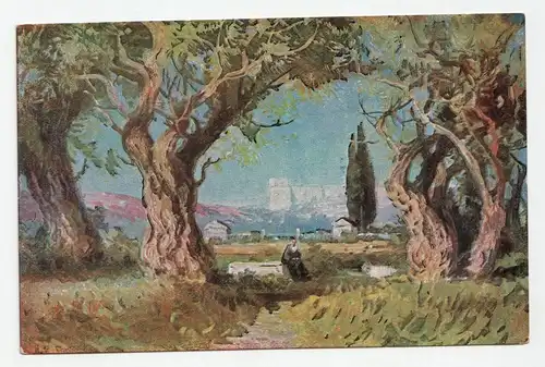 Der Garten von Gethsemane.