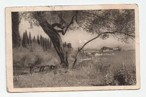 Corfou. Parc Monrepos.