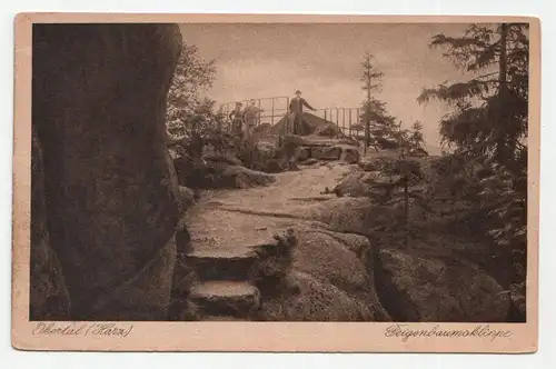 Okertal (Harz). Feigenbaumklippe