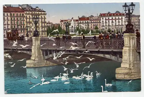 Les Mouettes a Geneve. jahr 1911