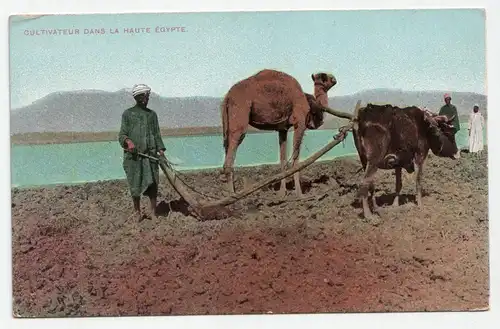 Cultivateur Dans La Haute Egypte.