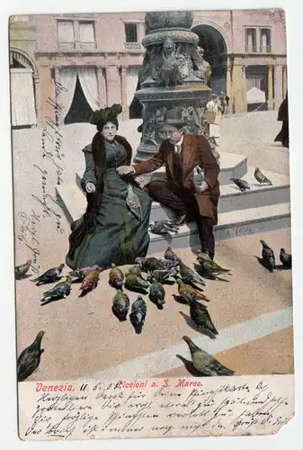 Venezia. Piccioni a. S. Marco. jahr 1905