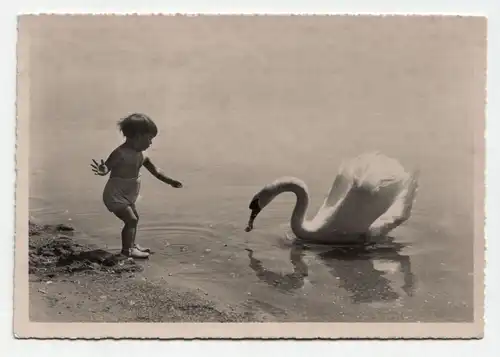 Motiv du Lae de Geneve