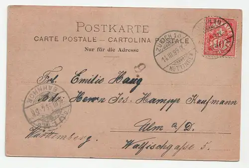 Zürich. Landesmuseum. jahr 1899