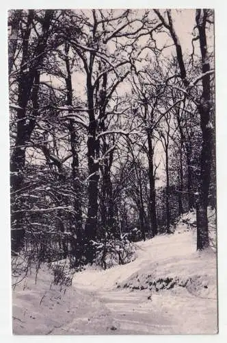 Salzburg. Waldweg im Winter.