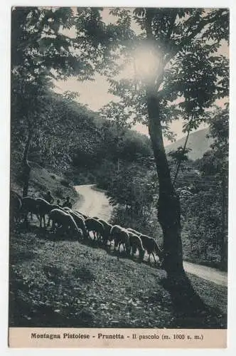 Montagna Pistoiese - Prunetta - Il Pascolo