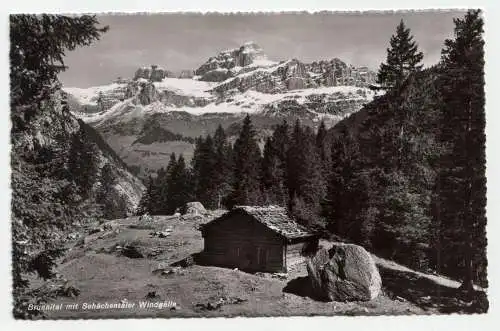 Brunnital mit Schächentaler Windgälle.