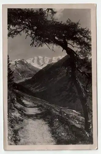 Piz Palü vom Schafberg=Höhenweg.
