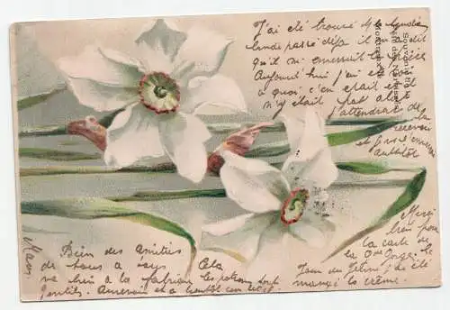 Souvenir de la Fete des Narcisses. Montreux Le. jahr 1904