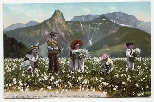 Les Avants sur Montreux. La Saison des Narcisses. jahr 1912