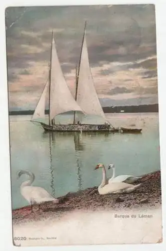 Barque du Leman. jahr 1907