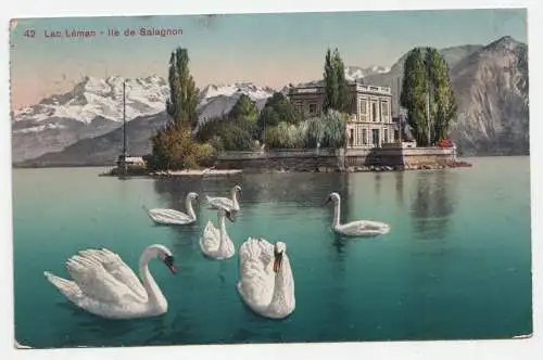 Lac Leman - Ile de Salagnon.