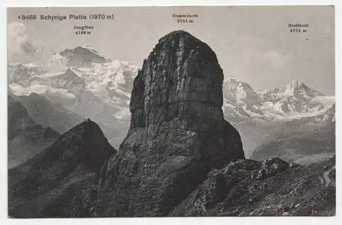 Schynige Platte (1970 m). jahr 1913
