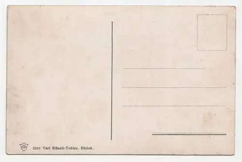 Der Wallensee mit Umgebung.