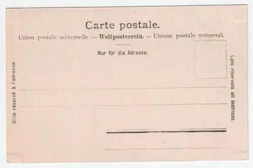 Vierwaldstättersee a. d. Vogelschau