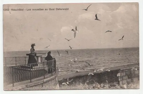 Neuchatel - Les mouettes au Quai Osterwald. jahr 1912