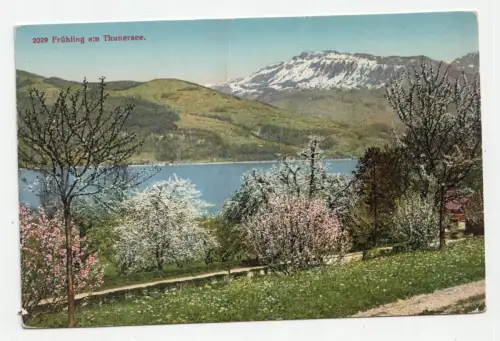 Frühling am Thunersee