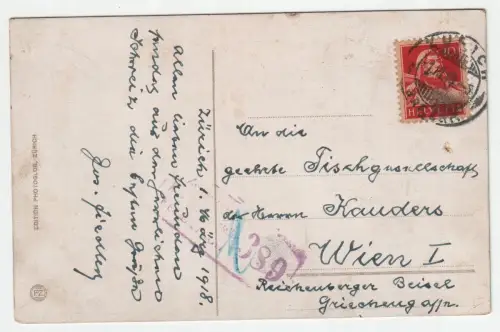 Zürich von der Urania aus. jahr 1918