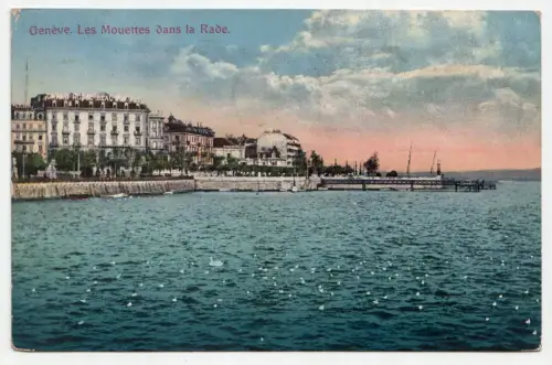 Geneve. Les Mouettes dans la Rade. jahr 1914