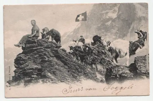 St. Gallen. jahr 1903