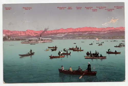 Zürichsee und die Alpen. jahr 1909