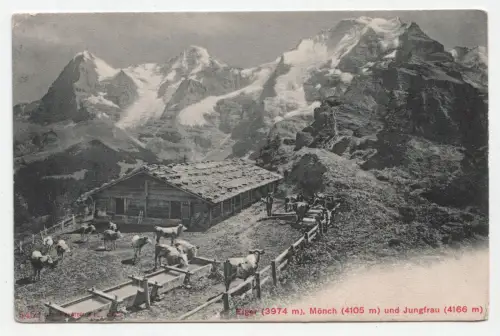 Eiger (3974 m), Mönch (4105 m) und Jungfrau (4166 m). jahr 1906