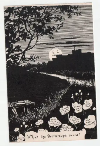 What the Buttercups heard! jahr 1905