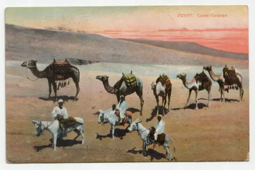 Egypt. Camel-Caravan.