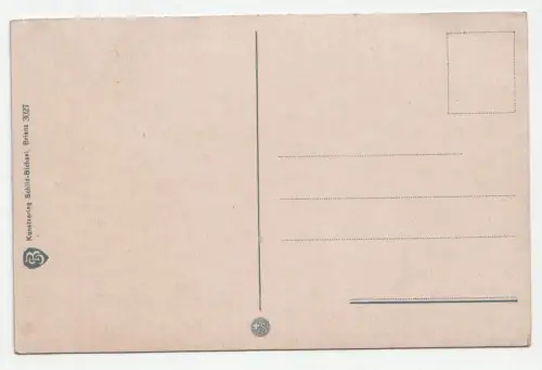 Interlaken. Generalansicht.