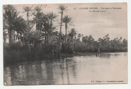 Colomb-Bechar. - Vue dans la Palmeraie. Un Barrage (1914). jahr 1916