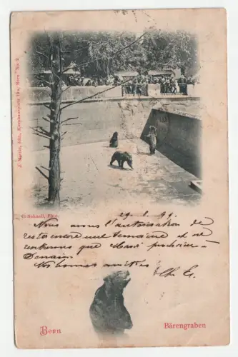 Bern. Bärengraben. jahr 1899