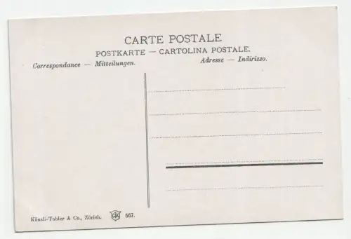 Zürich von der Waid