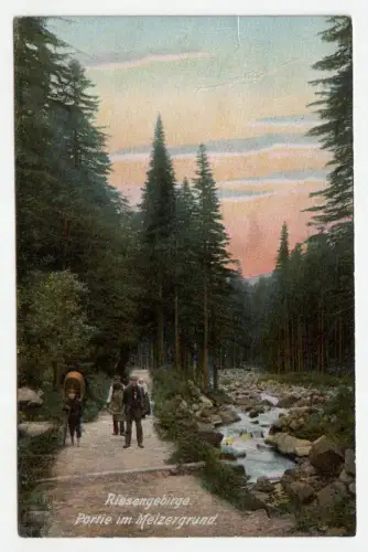Riesengebirge. Partie im Melzergrund. jahr 1916