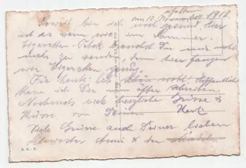 Nel gran cerchio dell Alpi. jahr 1912