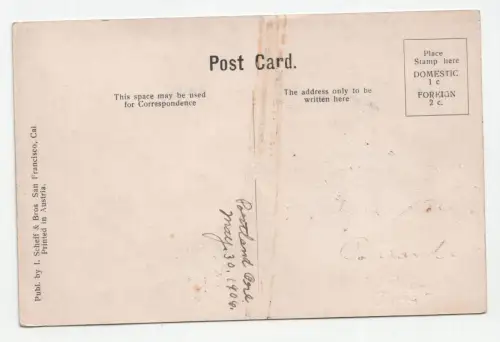 Greetings from Portland, Ore. The Rose City.