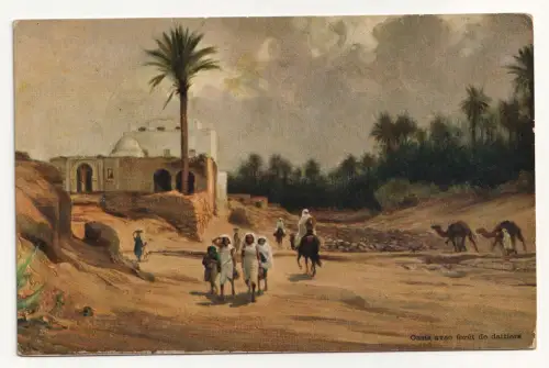 Oasis avec foret de dattiers