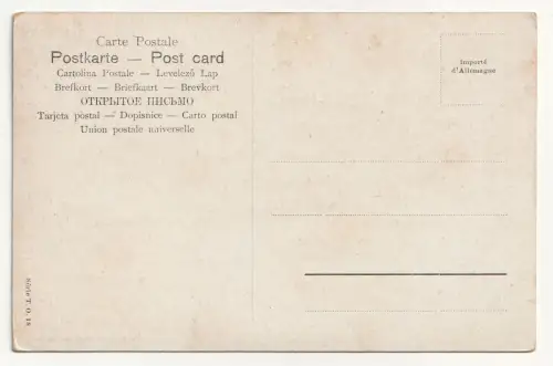 Oasis avec foret de dattiers