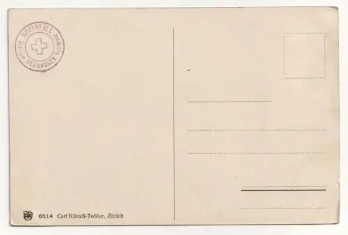 Rheinfall. Neuhausen.