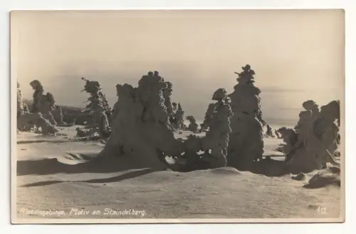 Riesengebirge. Motiv am Steindelberg.