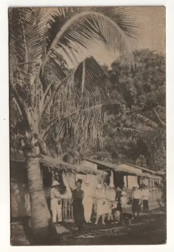 Les Nouvelles Hebrides. Plantation de Teouma, ile Vate.