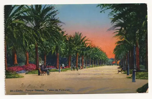 Cadiz. Parque Genoves. Paseo de Palmeras.