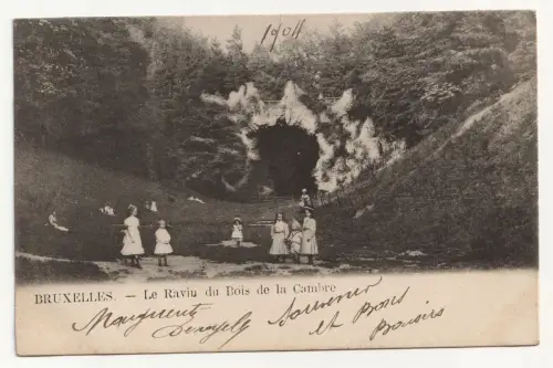 BRUXELLES - Le Ravin du Bois de la Cambre. jahr 1904