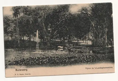 Buitenzorg. Vijver in  s Landsplantentuin. Alte Ansichtskarte