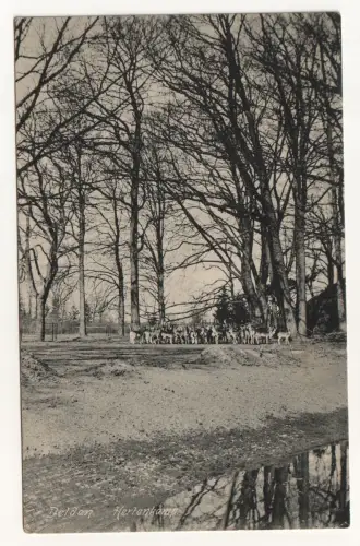 Delden Hertenkamp. jahr 1913