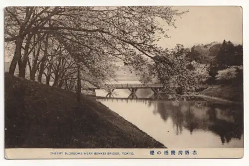 CHERRY BLOSSOMS NEAR BENKEI BRIDGE, TOKYO.