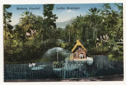Madeira. Funchal. Jardim Municipal.