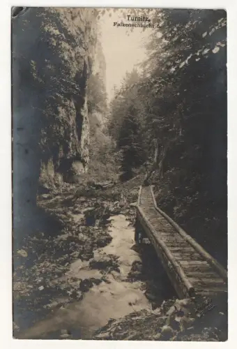 Türnitz. Falkenschlucht. Alte Ansichtskarte